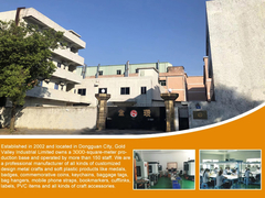 L'industrie de la vallée de l'or limitée